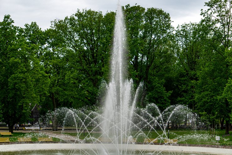 Парк Дубровина