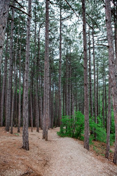Подъём на Боткинскую тропу