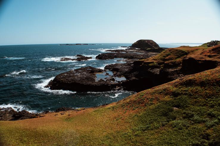 Природный парк «Остров Филипп» (Phillip Island Nature Park)