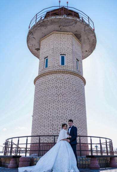 Птичья гавань