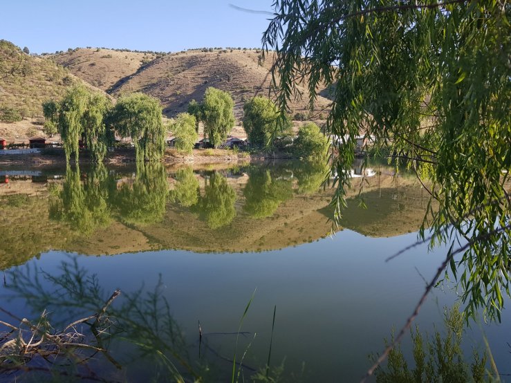Mühye