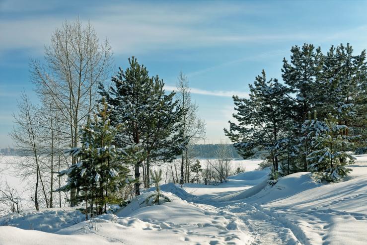 Городской парк Бердская коса