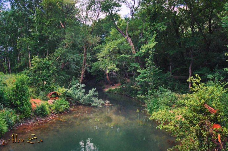 Черная речка