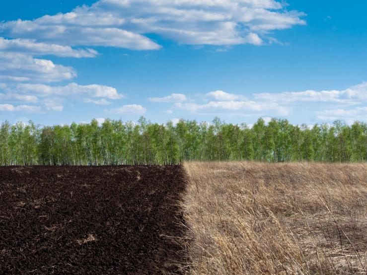 Антуражный берег Иртыша