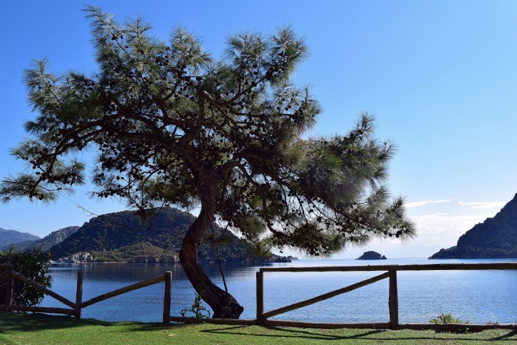 Набережная