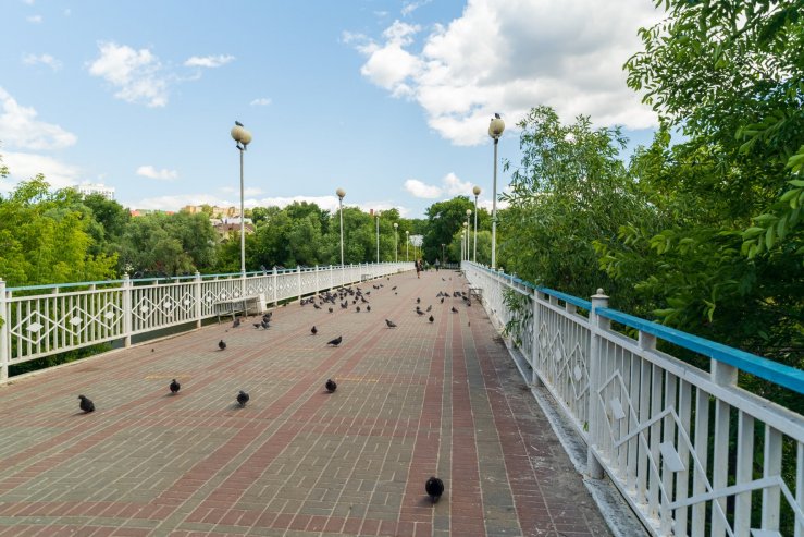 Пешеходный мост через реку Свиягу