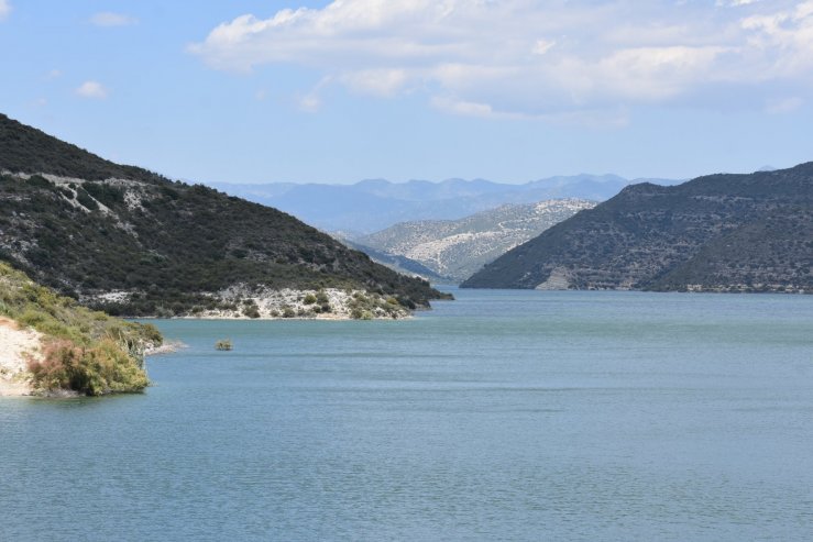 Курис дамба