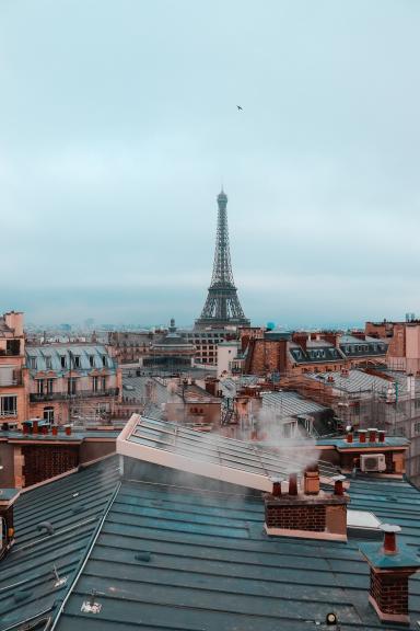 Крыша с видом Эйфелеву башню