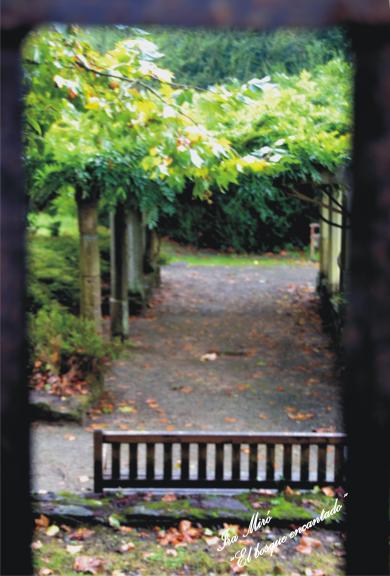 Bosque Encantado, Montrove