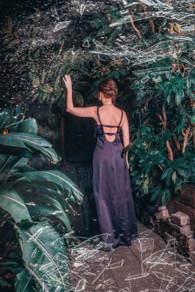 Оранжерея Таврического сада