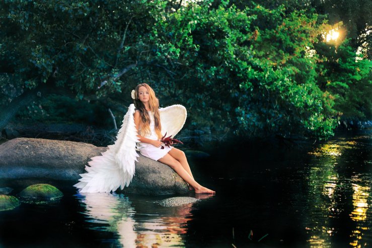 Берег Днепра возле базы отдыха ДСС