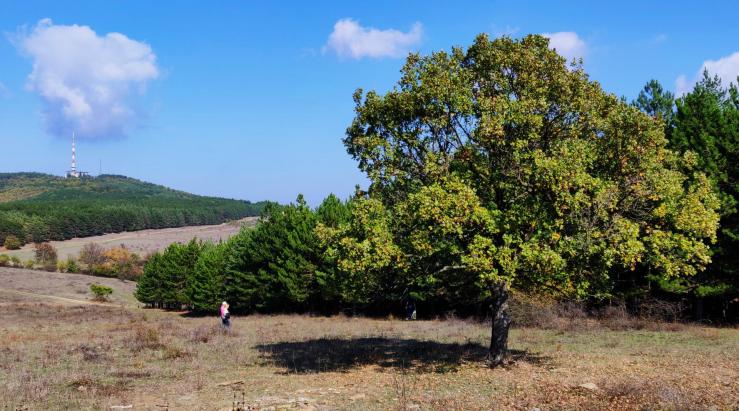 В горах за Кошарицей
