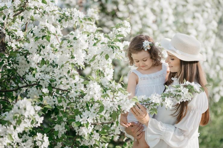 Тополиная аллея