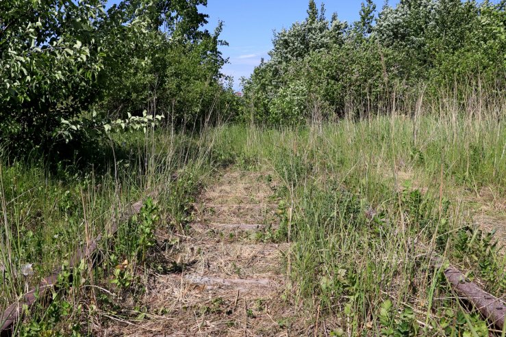 Старая  железная дорога