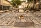 Old train station