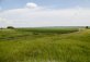 Загородные поля 