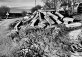 Black-white pile of concrete blocks