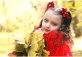 Печерский лесопарк