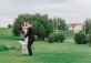 Сквер жилого комплекса 