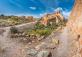 The Sagunto Castle