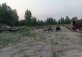 Берег Оби 55