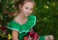 Apfelfeld Maisach