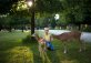 Wildpark Poing