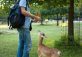 Wildpark Poing