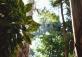 Национальный парк Данденонг Рейнджес (Dandenong Ranges National Park)