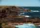 Природный парк «Остров Филипп» (Phillip Island Nature Park)