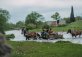 Mashavera river
