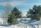 Городской парк Бердская коса