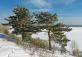 Городской парк Бердская коса