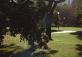 Сады Королевы Виктории (Queen Victoria Gardens)