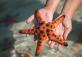 Пляж Rach Vem, starfish beach
