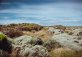 Двенадцать апостолов (Twelve Apostles)
