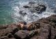 Nhu Tien Beach