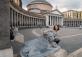 Пьяцца-дель-Плебишито (итал. Piazza del Plebiscito)