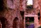 Bosque Encantado, Montrove