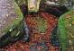 Bosque Encantado, Montrove